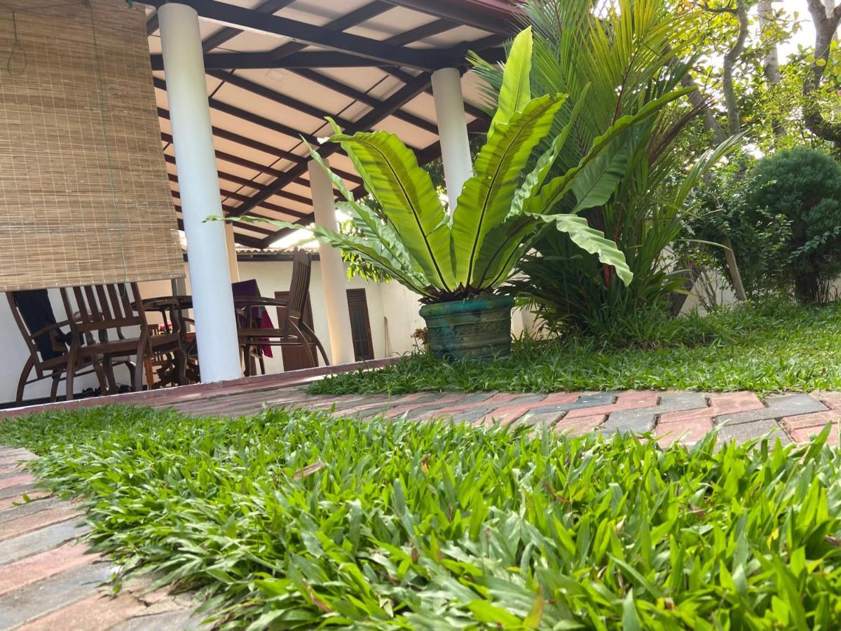 Mirissa Gold Rush Villa Экстерьер фото