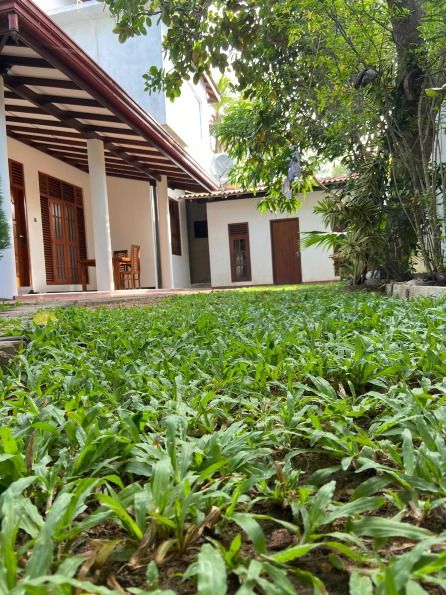 Mirissa Gold Rush Villa Экстерьер фото